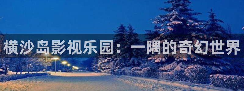 星海之外定档海报