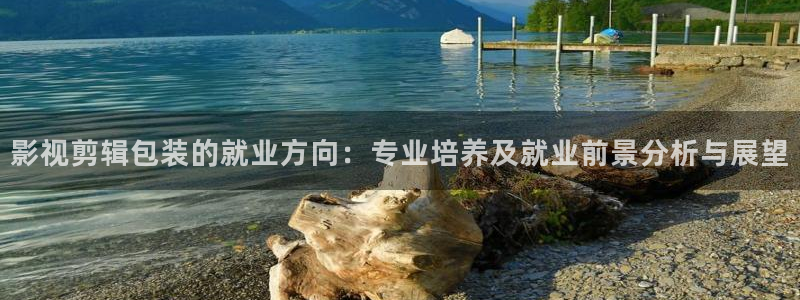 星海之外定档海报