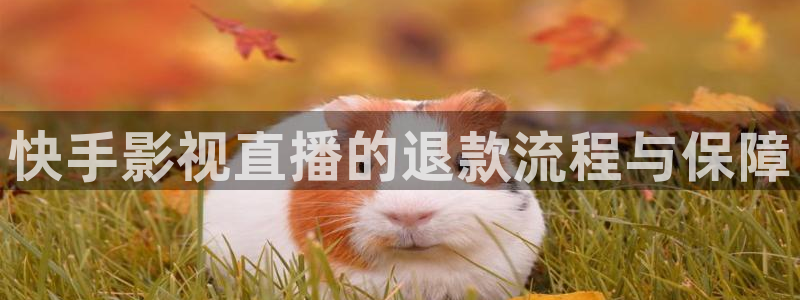 星海之外定档海报