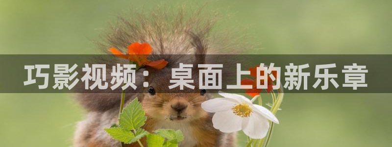 星海之外定档海报