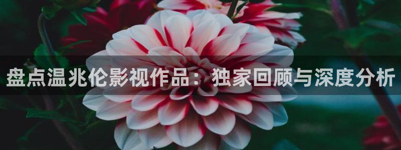 星海之外定档海报