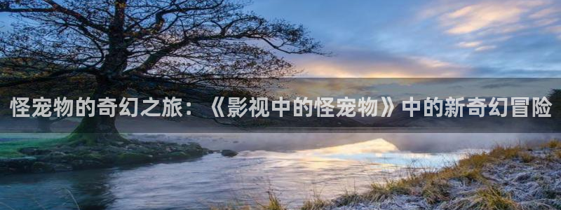星海之外定档海报