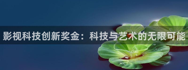 星海之外定档海报